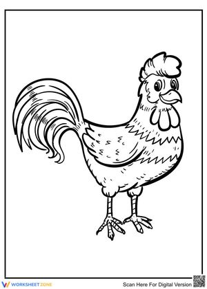 Amusing chicken