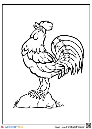 Crowing chicken