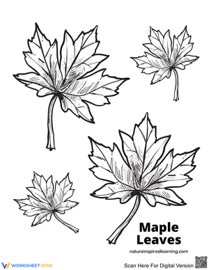 Explore Autumn with a Maple Leaves Worksheet