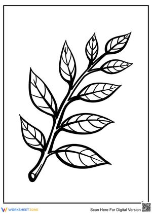 Leaves