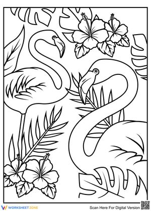 Flamingos