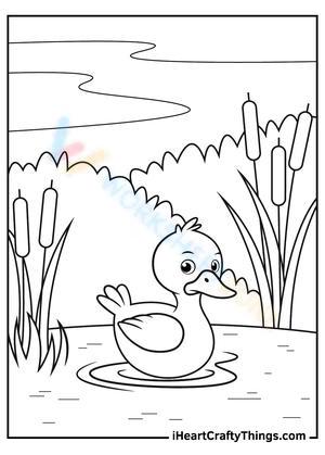 A Duck in the River Worksheet for Nature Study