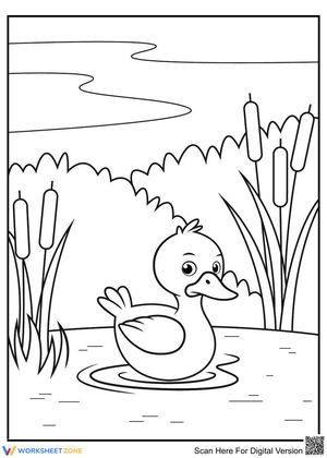 A Duck in the River Worksheet for Nature Study