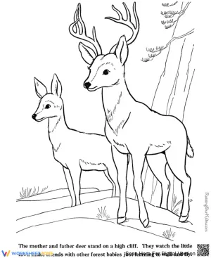 Grade K-2 Deer Coloring — Printable No-Prep Worksheet