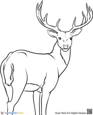 A cool deer