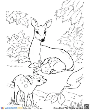 A mother deer and her fawns