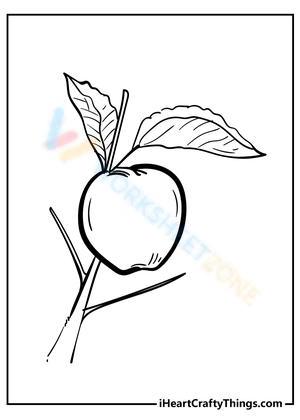 A healthy fruit - Apple