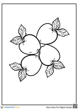 The apples