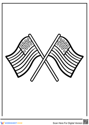 The 2 American flags