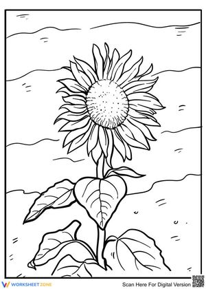 Little Sunflower 