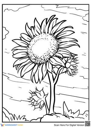 A sunflower in the wind