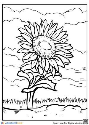 Blooming sunflower