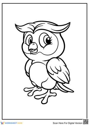 Lovely Owl Activity for Bird Enthusiasts