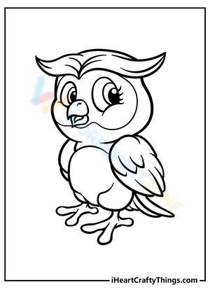 Lovely Owl Activity for Bird Enthusiasts