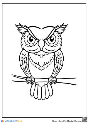Serious Owl Nature Study Worksheet