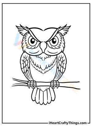 Serious Owl Nature Study Worksheet