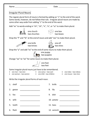 Irregular Plural Nouns Practice