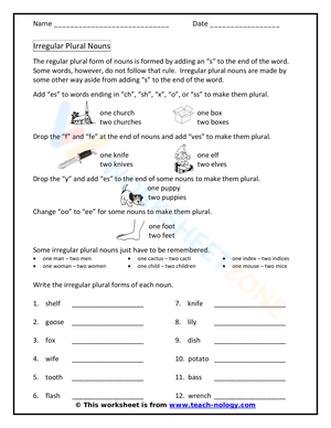 Irregular Plural Nouns Practice