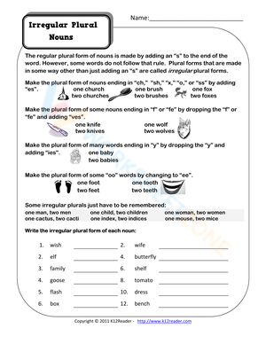 Irregular Plural Nouns Worksheet: Learn Singular and Plural Forms