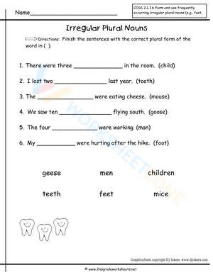 Irregular Plural Nouns | Grade 2 English Worksheet