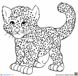 Baby Cheetah