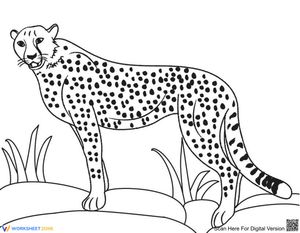 Cool Cheetah Worksheet