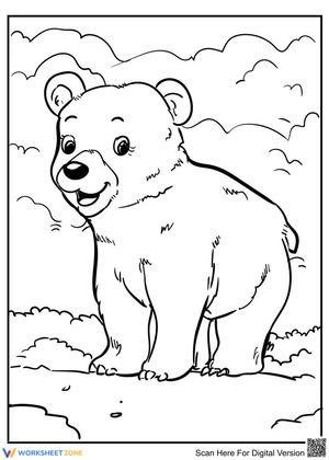 Cute baby bear