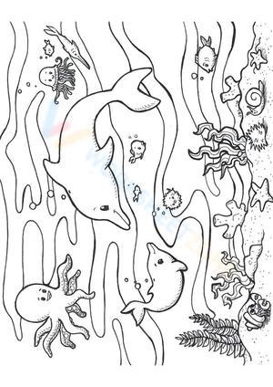 Dolphin and fish in the ocean