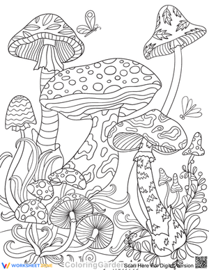 Mushroom in the forest