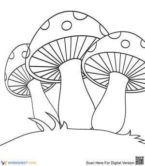Beautiful Mushrooms