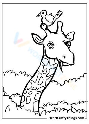 Giraffe and Bird Illustration Worksheet