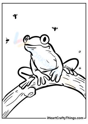 Frog on the Tree Illustration Worksheet