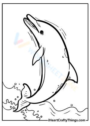 Dolphin Playing with the Wave Worksheet