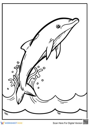 Lovely Dolphin Illustration Worksheet