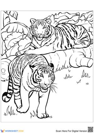 Two Cool Tigers Illustration Worksheet