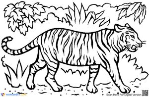 Cool Tiger Illustration Worksheet