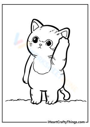 Learn with a Confused Kitten