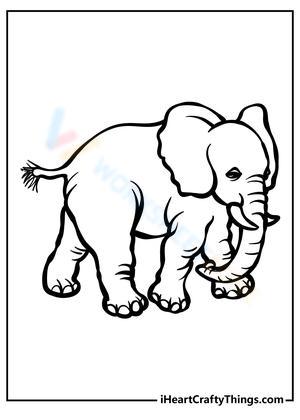 Discover a Cool Elephant