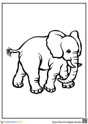 Discover a Cool Elephant