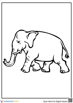 Walking Elephant Adventure