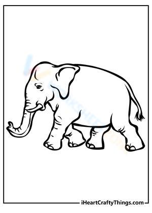 Walking Elephant Adventure