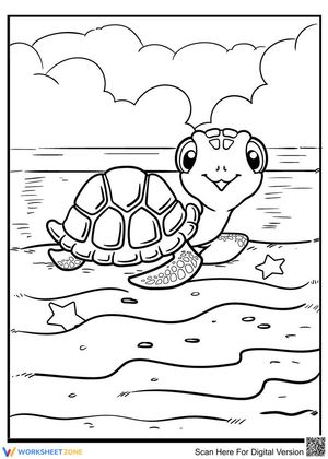 Baby turtle