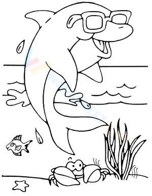 Funny Dolphin