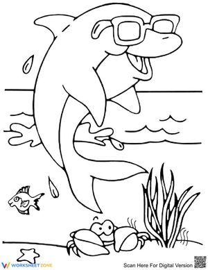 Funny Dolphin