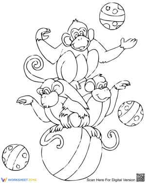 Funny Monkeys