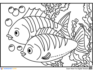Two Cute Fishes Fun