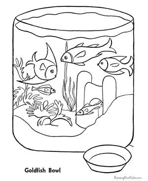 Explore an Aquarium