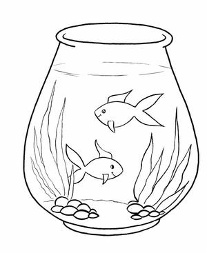 Discover a Beautiful Aquarium