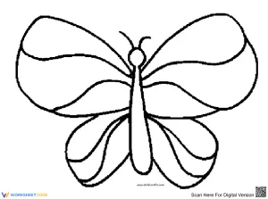 Explore a Butterfly