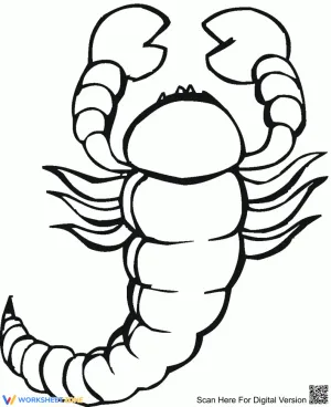 Scorpion in Closer View